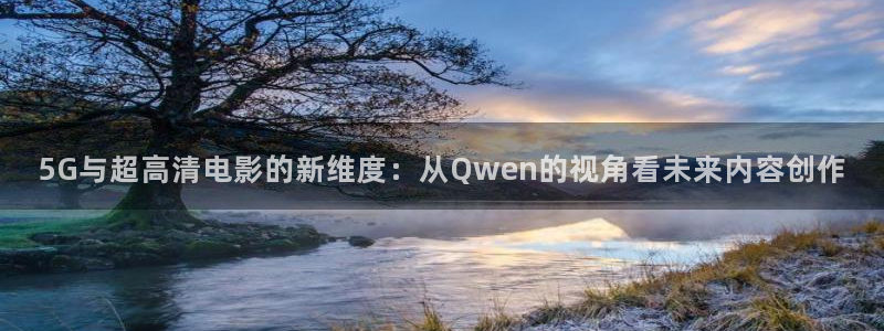 久久久久视频网站