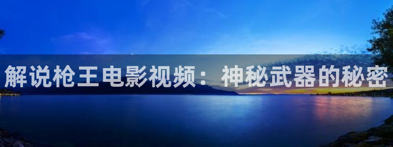 精品视频久久久久久