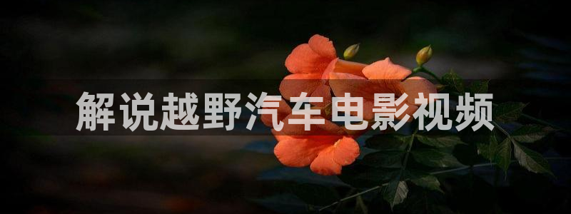 国产精品久久视频免费
