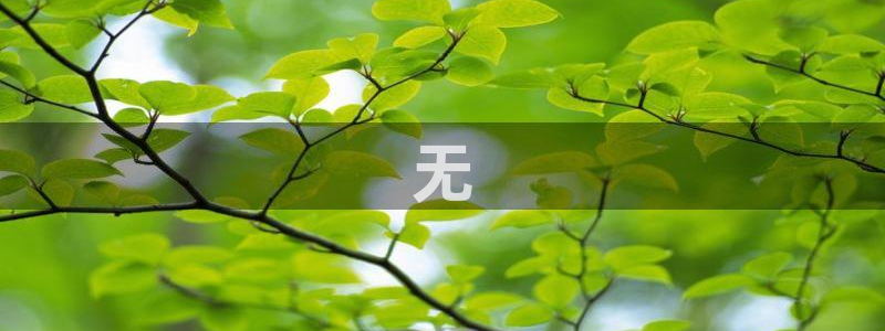久久久日韩欧美综合影院