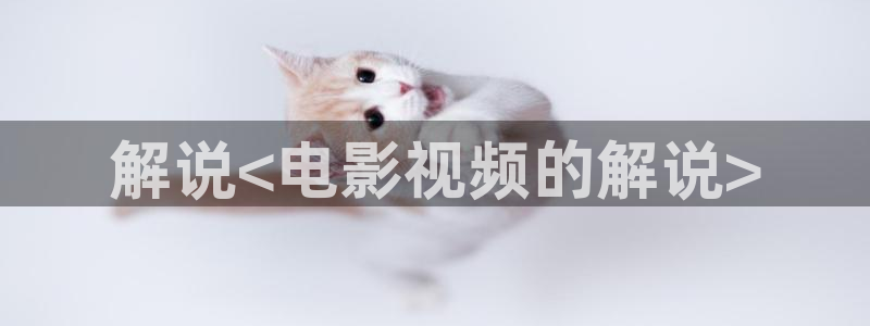 久久久午夜免费电影