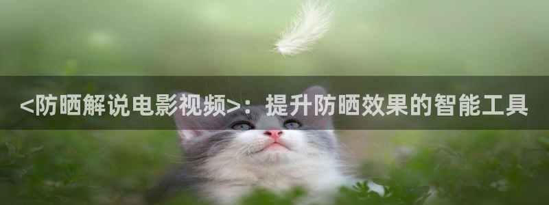 久久久久久视频免费观看