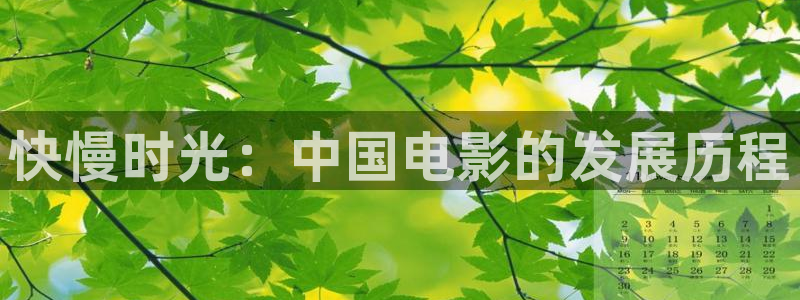 这里只有久久视频