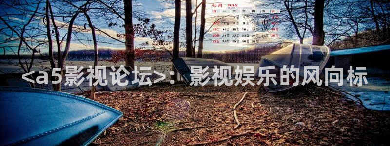 j午夜精品久久久久毛片