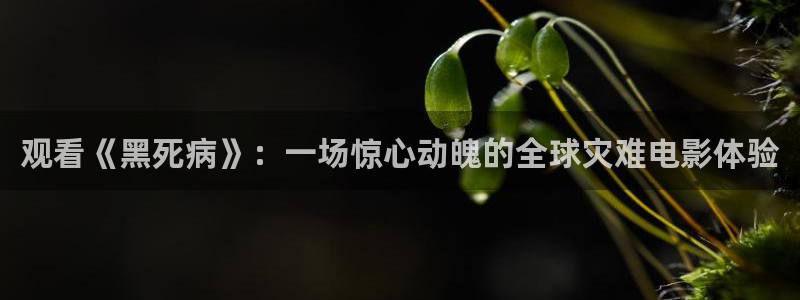 久久久精品免费影院