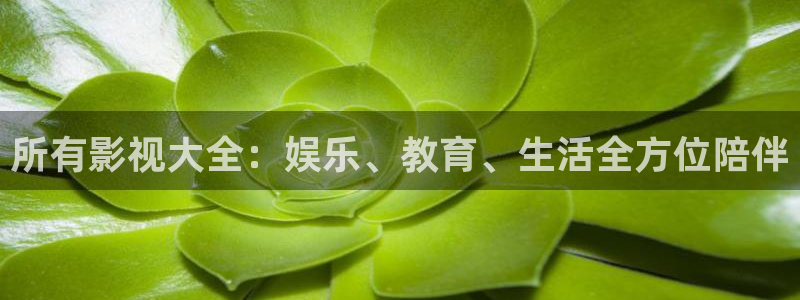 国内精品久久久久久影院