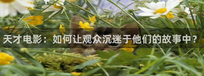 久久视频精品在线免费