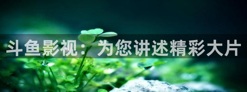 ,国产精品久久久久电影：斗鱼影视：为您讲述精彩大片