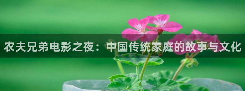 国产精久久久久久精品电影：农夫兄弟电影之夜：中国传统家庭的故事与文化