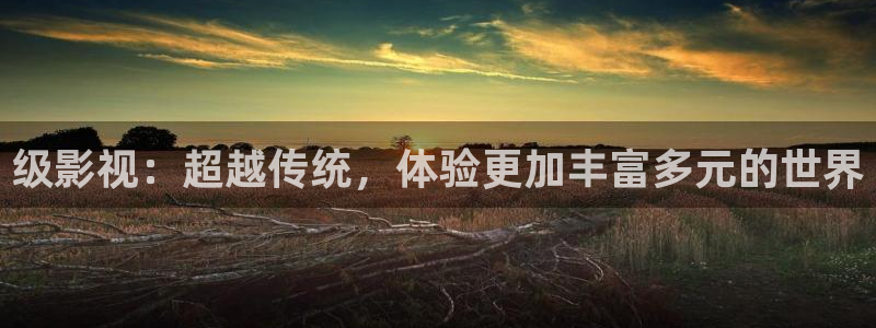 久久视频精品免费观看：级影视：超越传统，体验更加丰富多元的世界