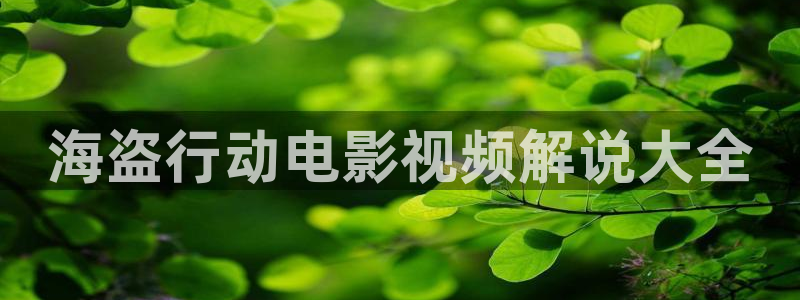 4虎影院久久久：海盗行动电影视频解说大全