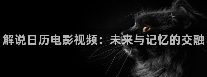 久久视频精品在线：解说日历电影视频：未来与记忆的交融