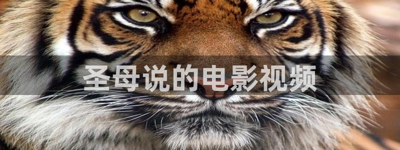 久久视频在线观看久久：圣母说的电影视频