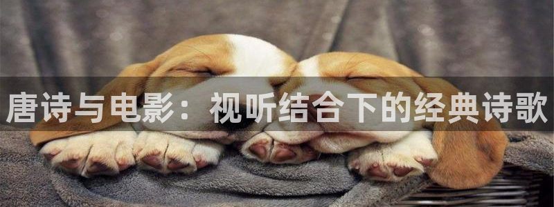 久久久久久久久高清影院：唐诗与电影：视听结合下的经典诗歌