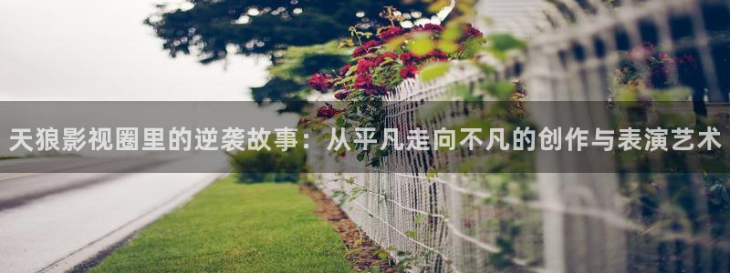 国产精品电影久久久久电影网：天狼影视圈里的逆袭故事：从平凡走向不凡的创作与表演艺术