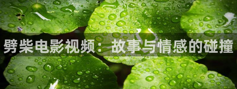 久久久在线看片：劈柴电影视频：故事与情感的碰撞