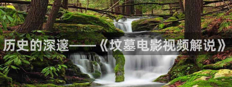 久久久精品影院精品影院